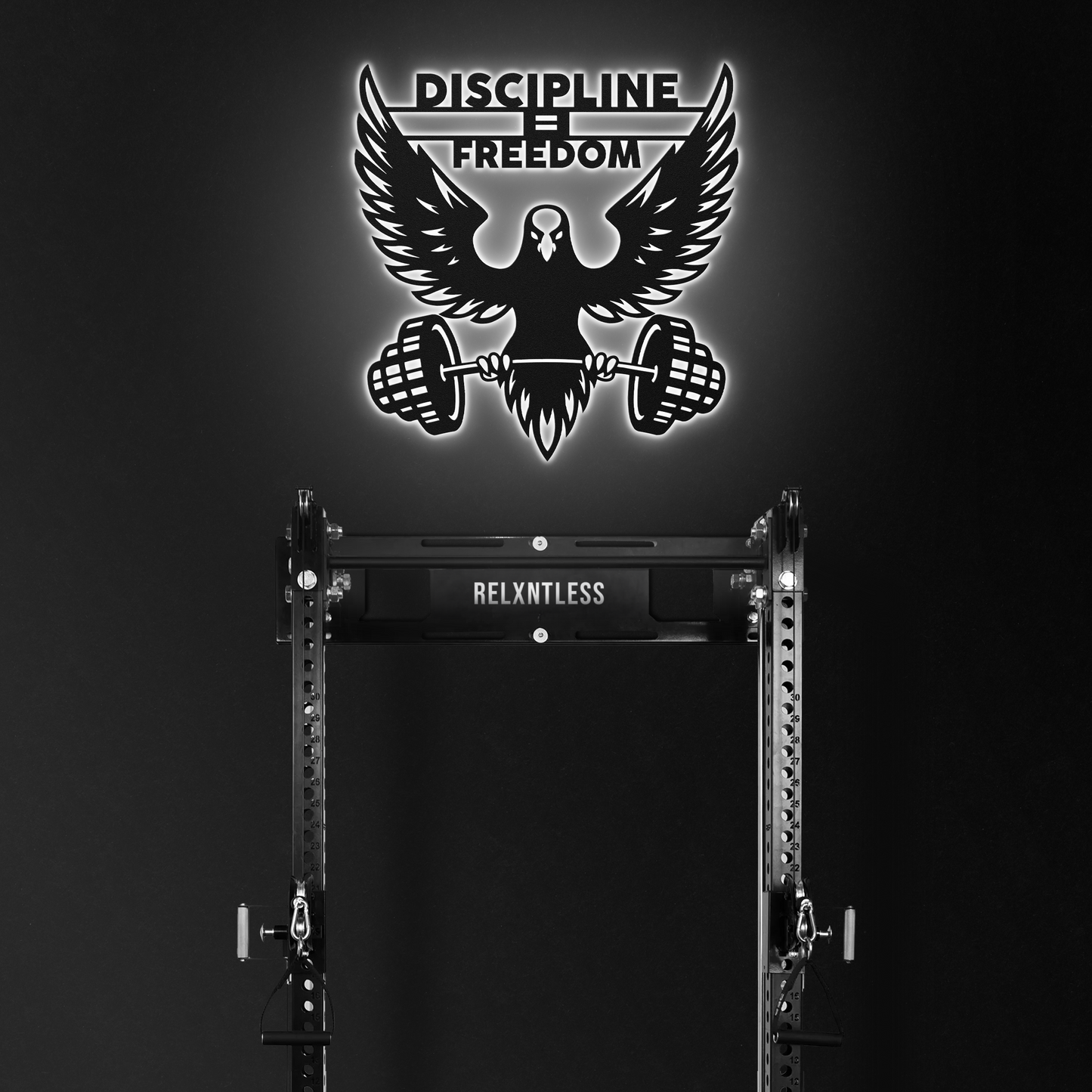 DISCIPLINE EQUALS FREEDOM - METAL WALL ART